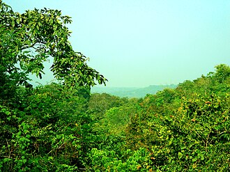 Eturnagaram Forest